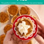 Mini Pumpkin Pies pin.