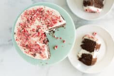 chocolate peppermint cake on teal cakestand.