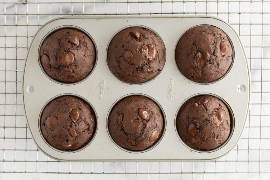 Double chocolate muffins in muffin pan.