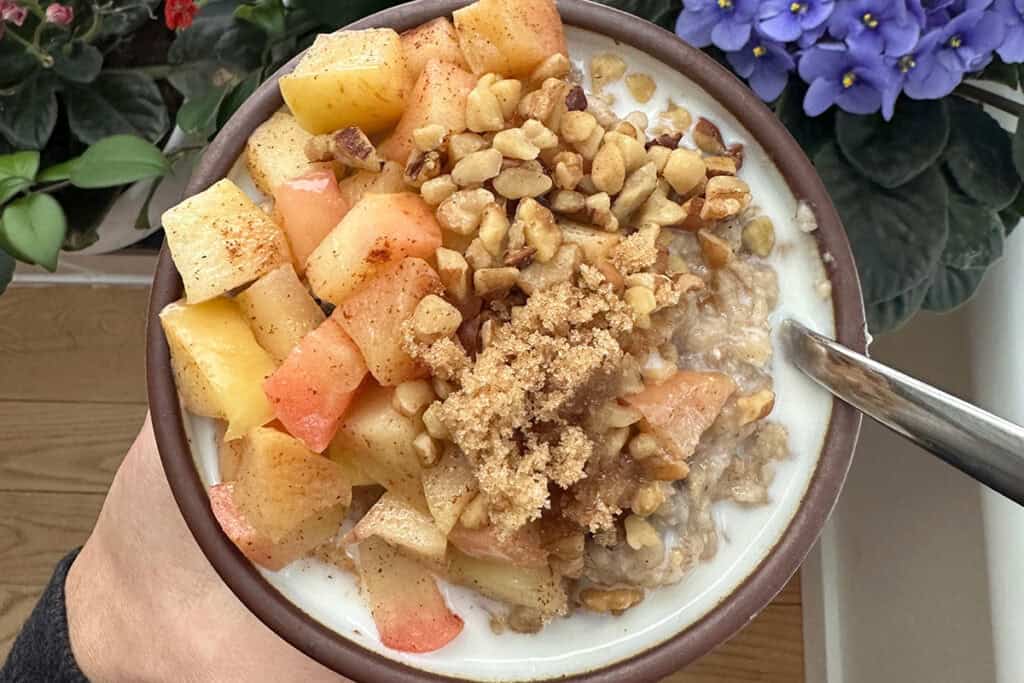 apple oatmeal in bowl.